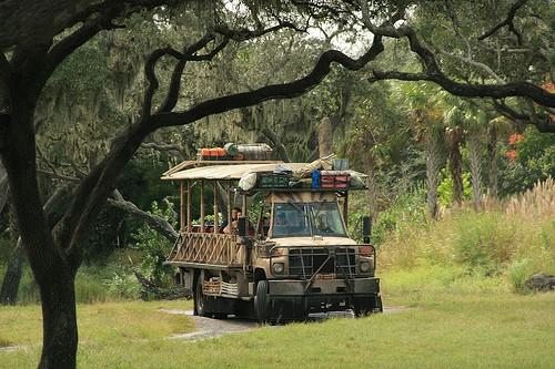disneyanimalkingdomrides