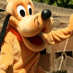 whichisthebesttimetovisitdisneyworld whichisthebesttimetovisitdisneyworld