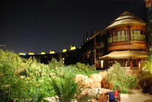 disneyanimalkingdomlodgehotel