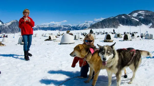 disney-cruise-dog-sled-adventure-by-helicopter-juneau-