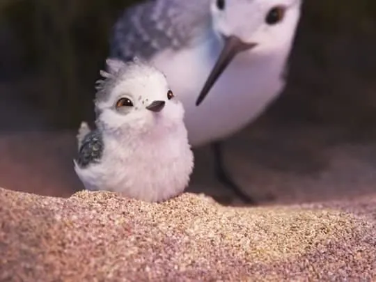 disneypixarpipershortmovie
