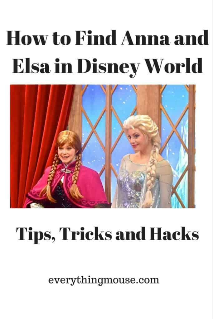 How to Find Anna and Elsa in Disney World Pin