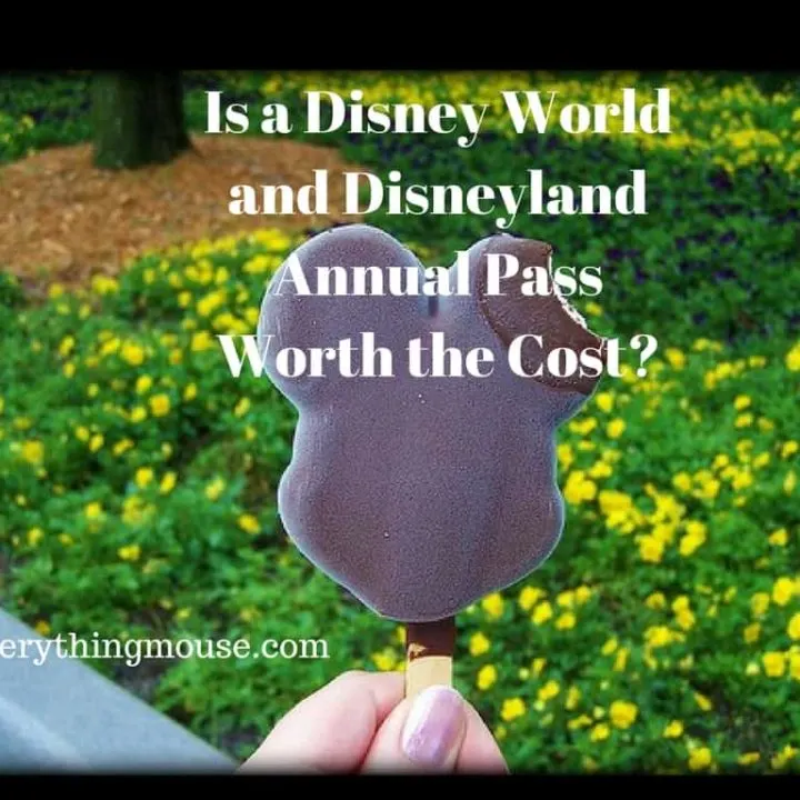 Disney World and Disneyland Annual Pass