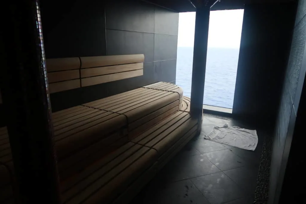 disneyfantasysauna