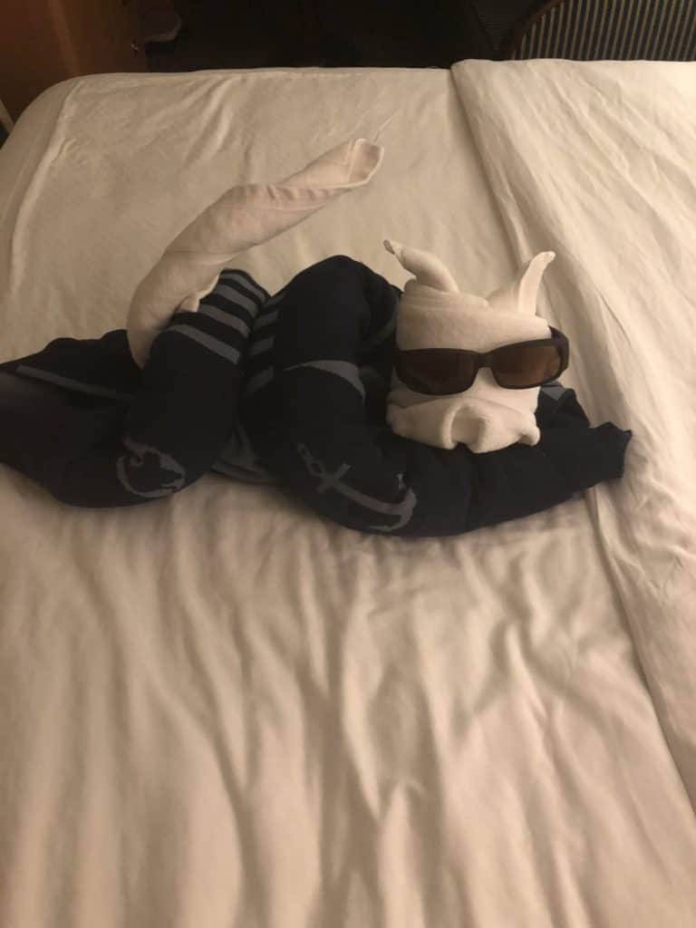 disneycruisetowelanimal