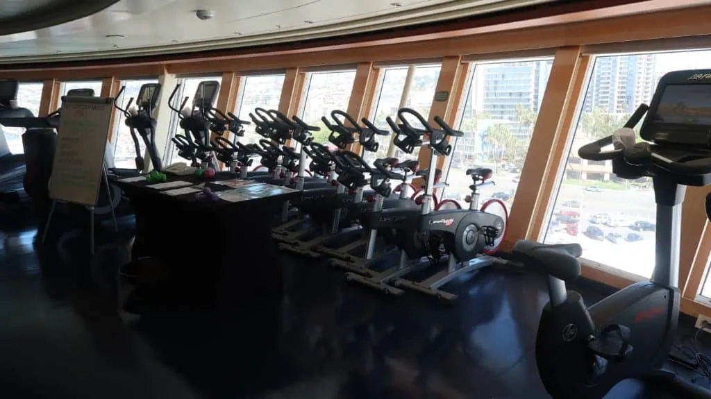 disneycruisegym