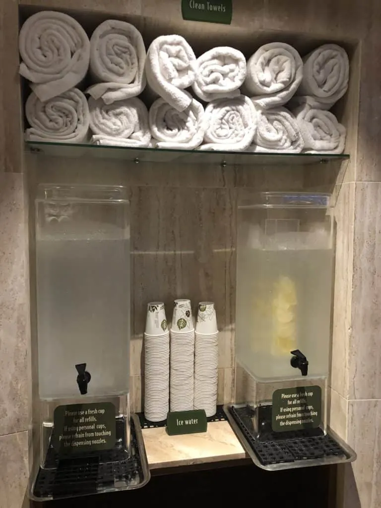 disneycruiselockerrooms