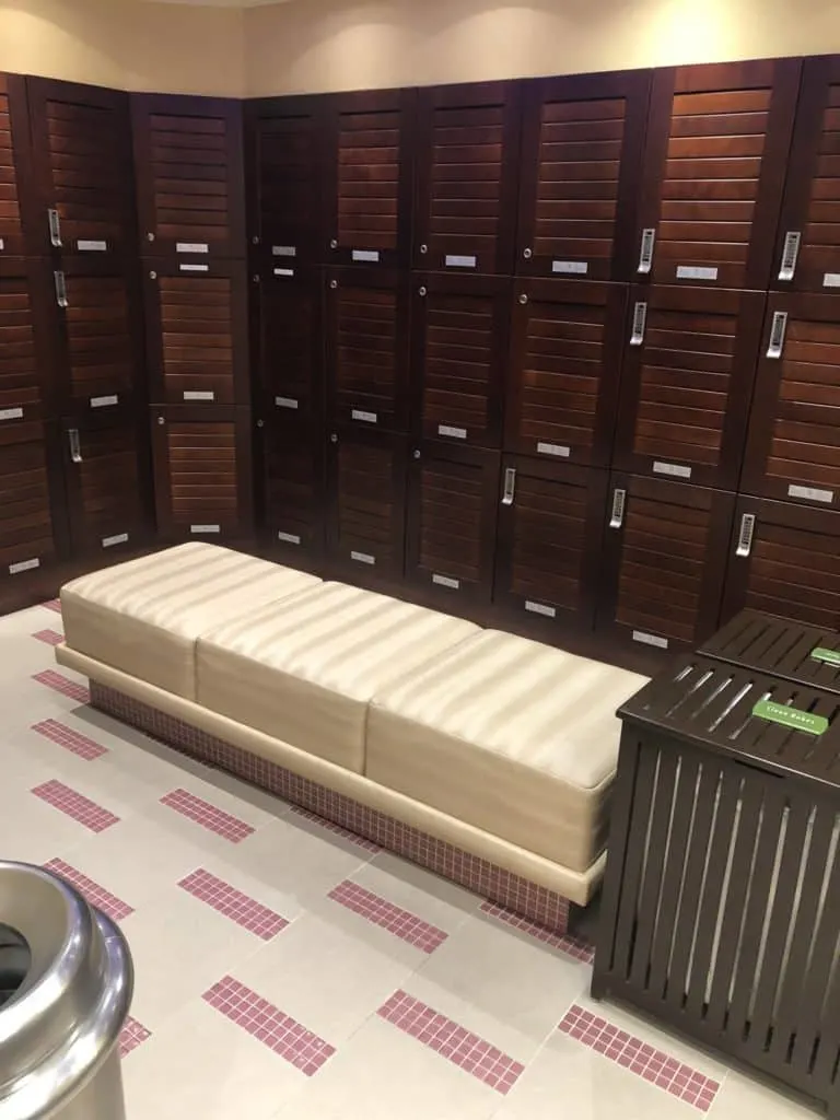 disneycruisegymlockers