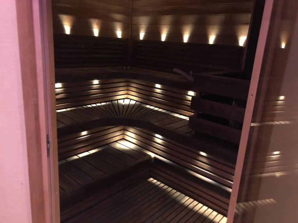 disneywondersauna