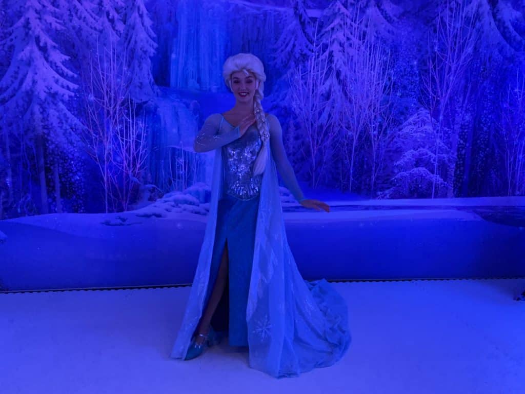 Frozen Meet and Greet Disney Cruise