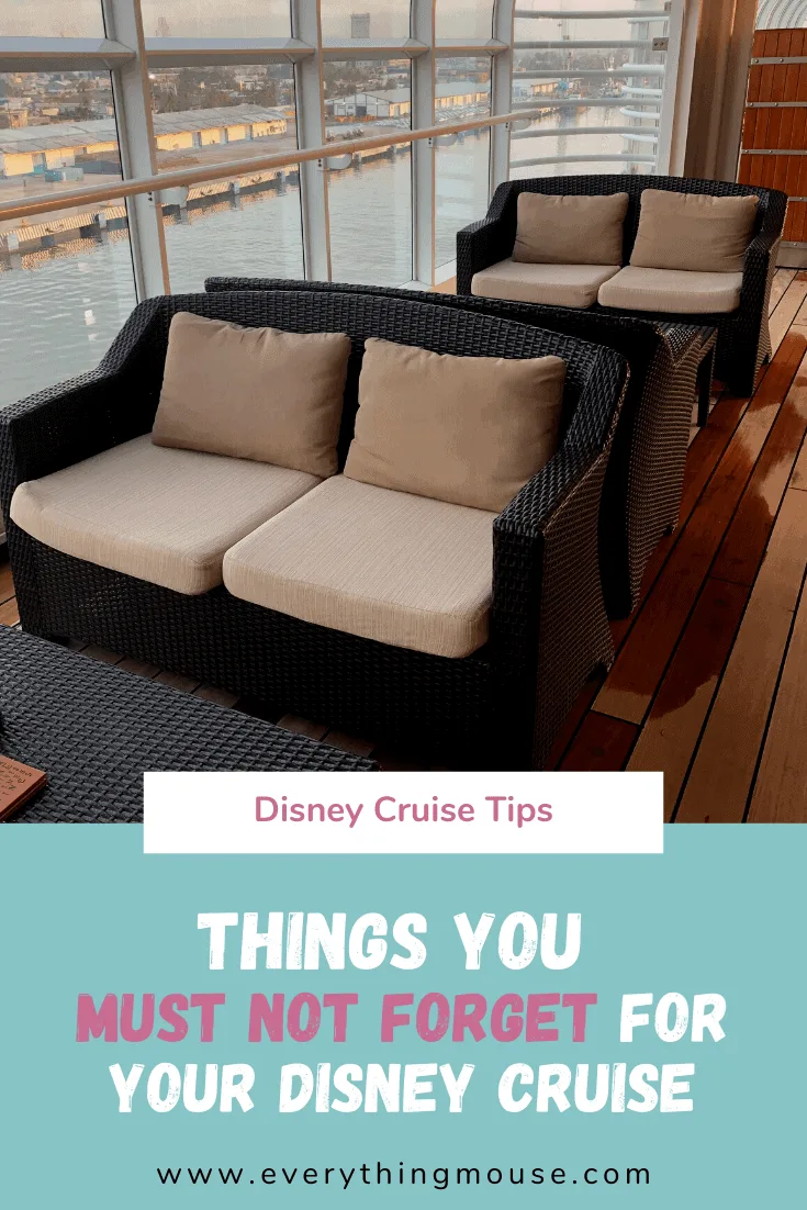 Disney Cruise Tips 