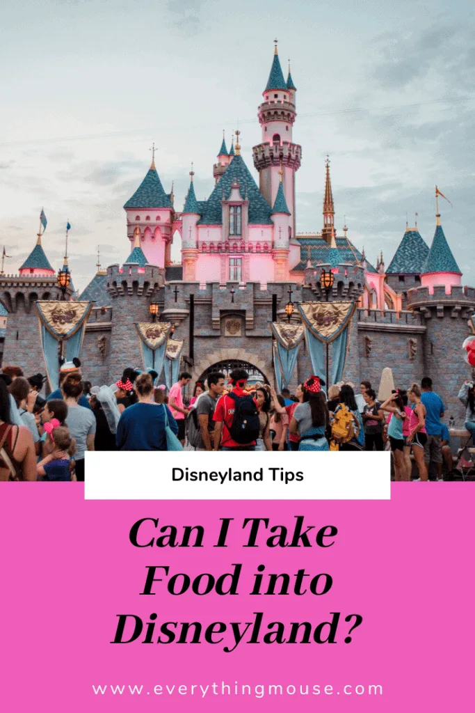 CanITakeFoodIntoDisneyLand