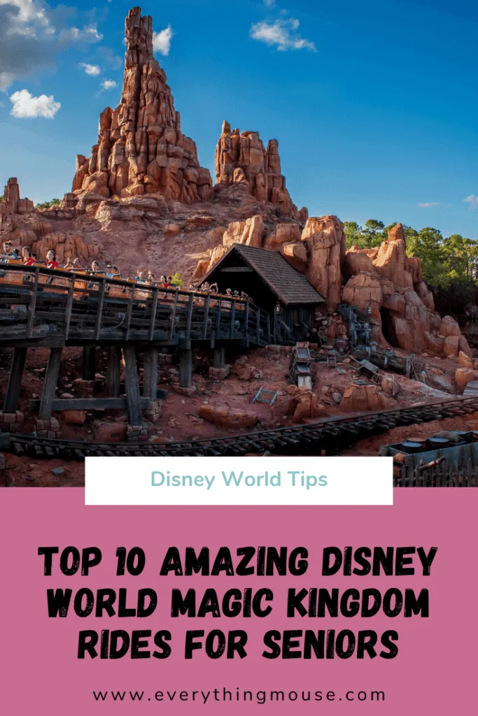 disneyworldmagickingomdforseniors