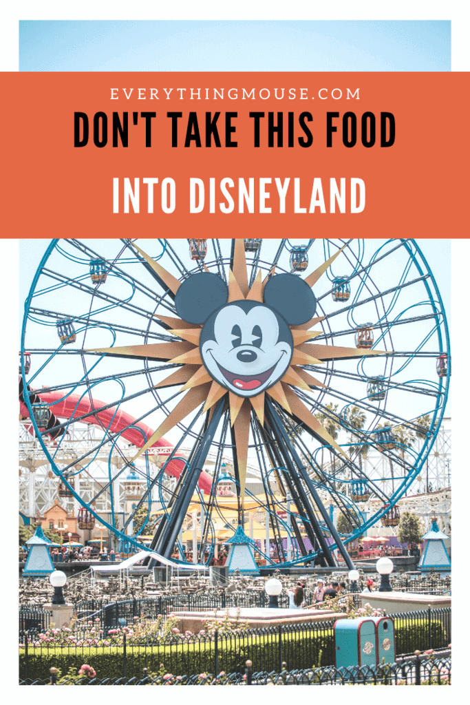 Can You Bring Food Into Disneyland? EverythingMouse Guide To Disney