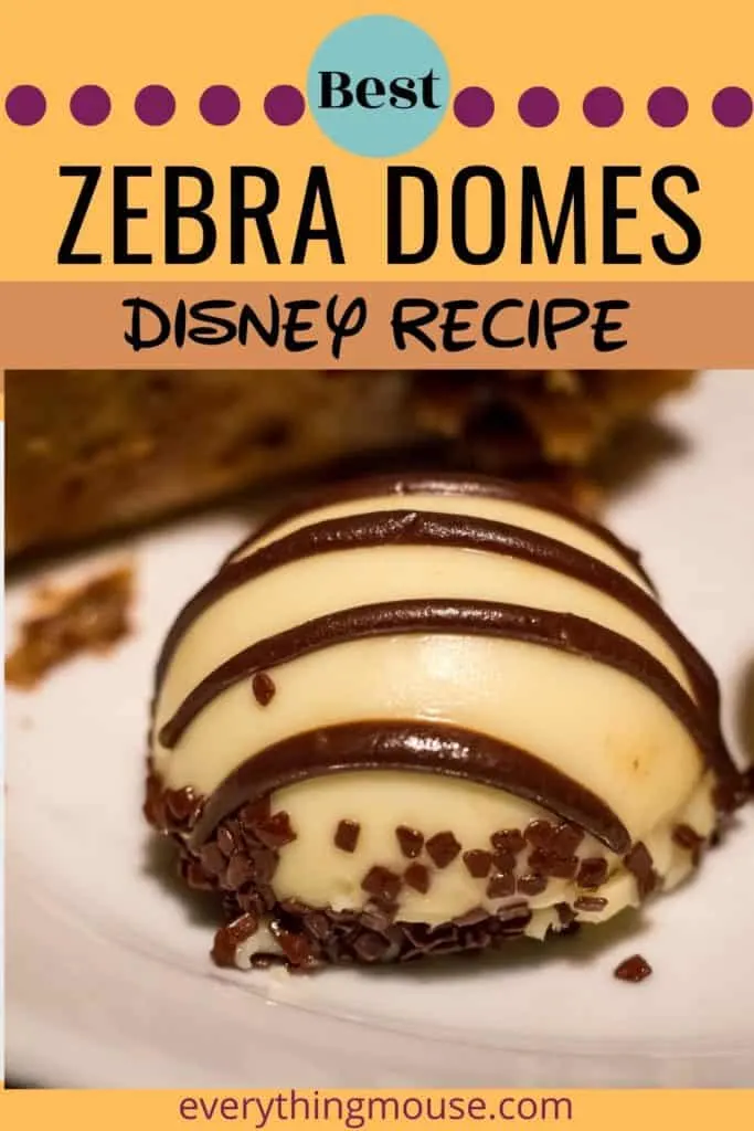 zebra domes Disney Recipes
