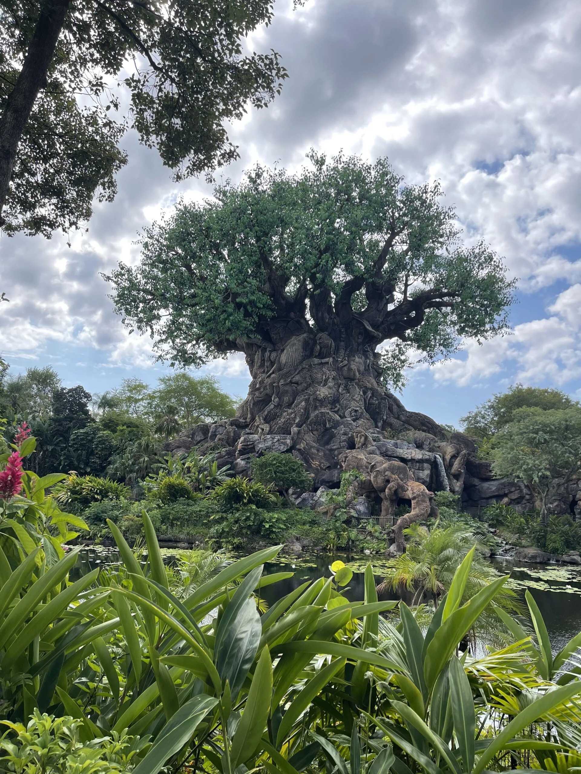 What to do at Disney World When it Rains