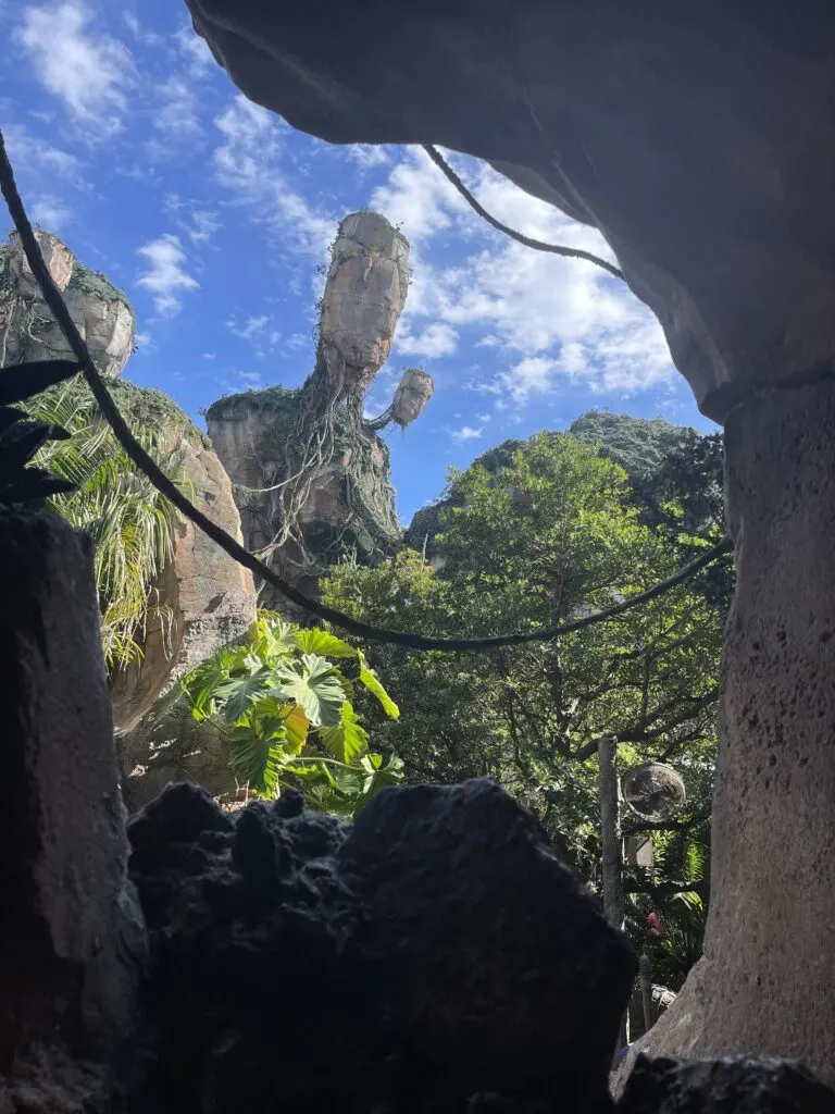 pandoraat animalkingdom