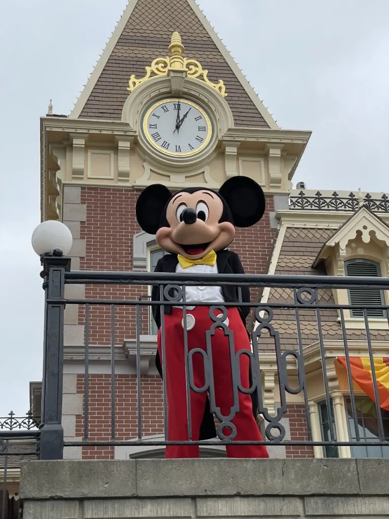 disneyland prohibited items