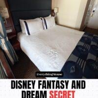 disneydreamandfantasysecretstaterooms