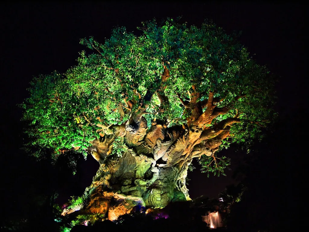 disney animal kingdom at night