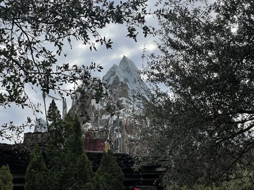 Roller Coasters in Disney World