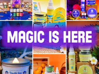 magic candle company sale