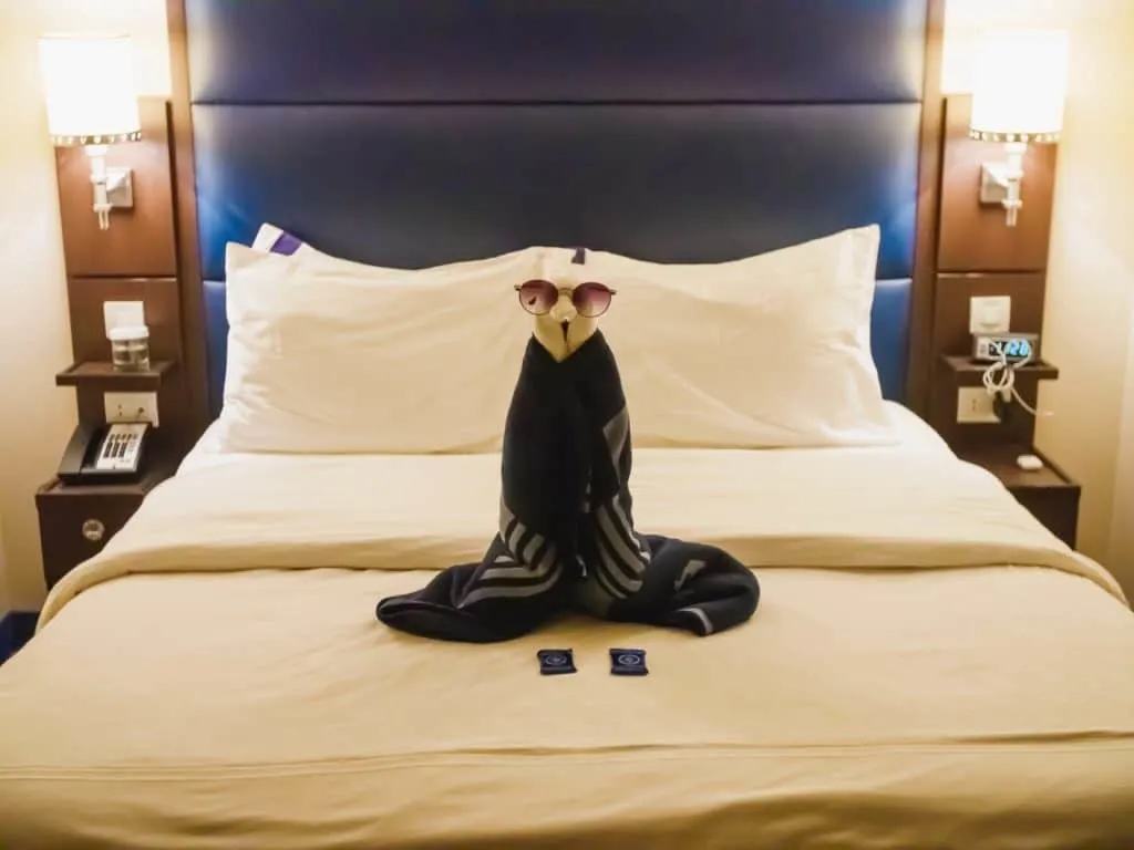 disneyinsidestateroom