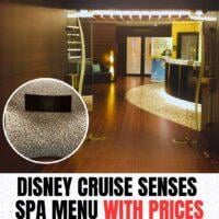 disneycruisesensesspamenuwithprices