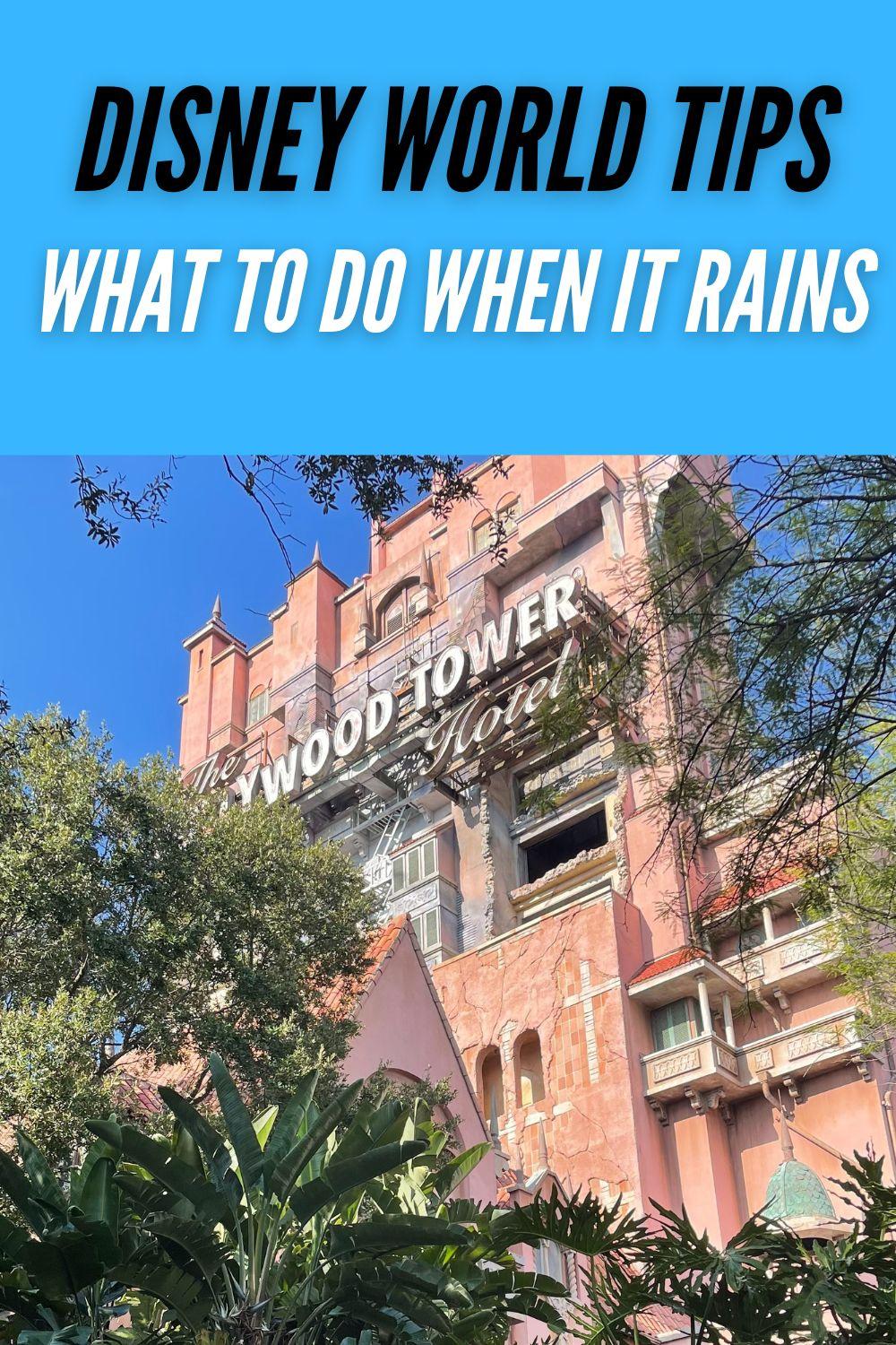 What to do at Disney When it Rains Strategies for a Rainy Day at
