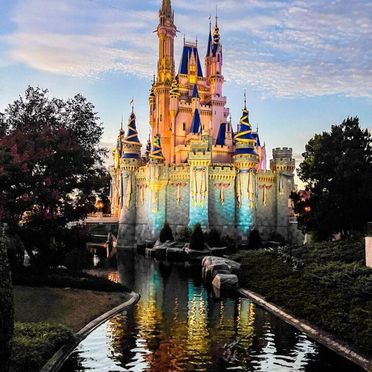which disney park is best for adults