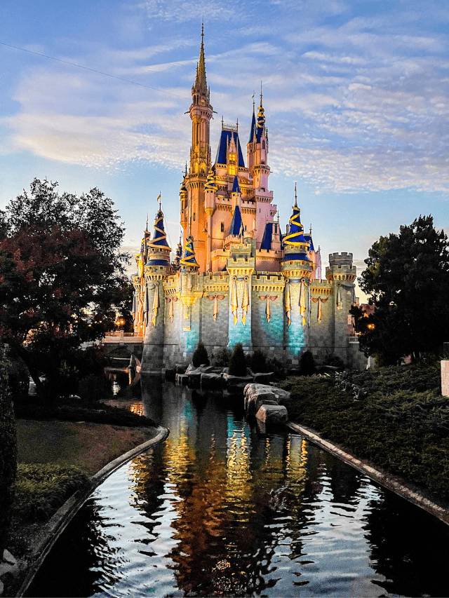 Which Disney World Park is Best for Adults? Story
