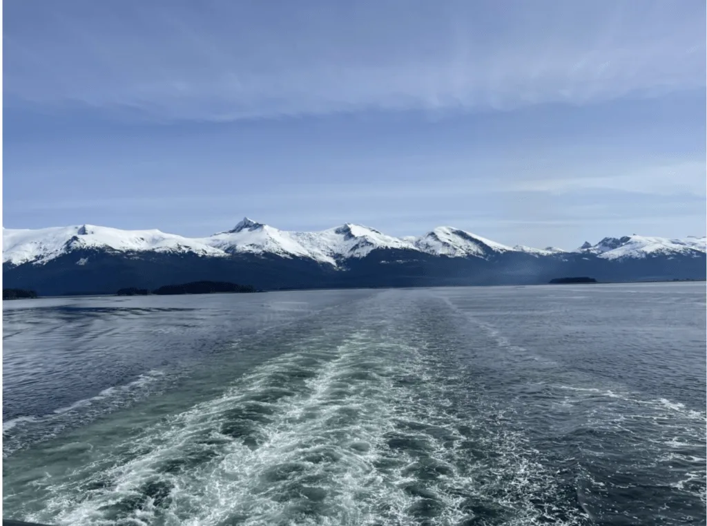seasicknessoncruise