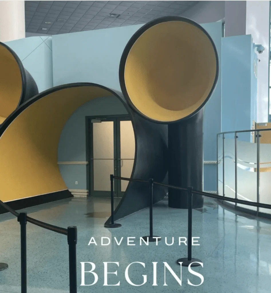disney cruise rules