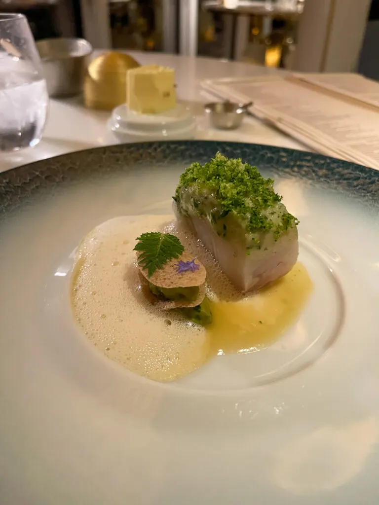 disneywishenchantereview