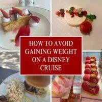 don'tgainwightonacruise