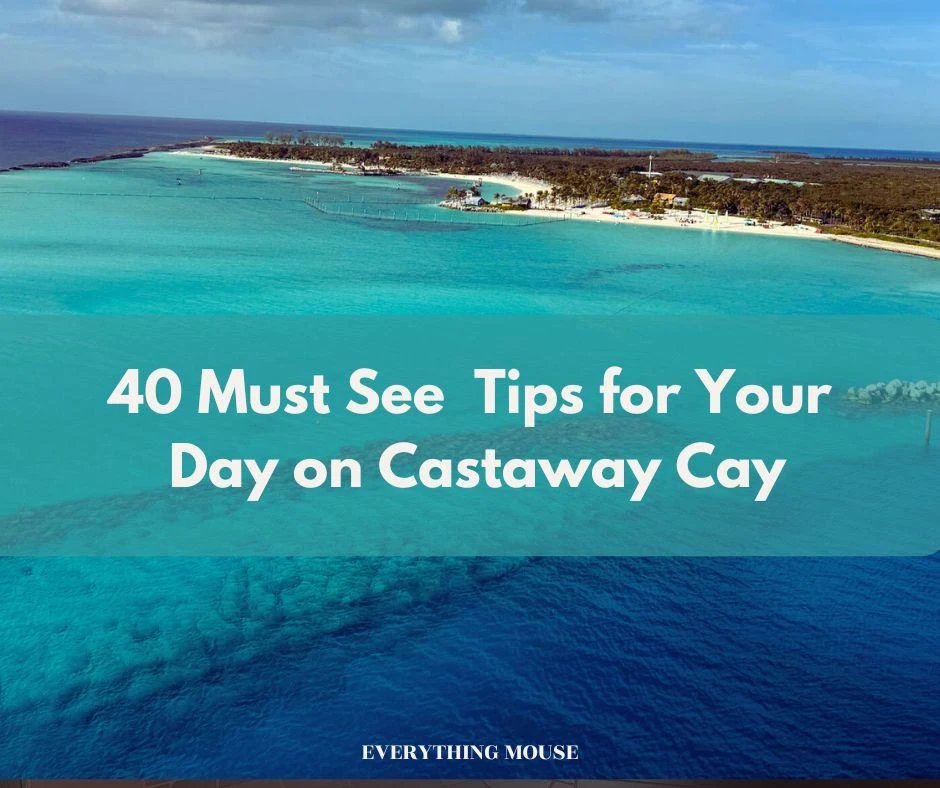 disney castaway cay tips
