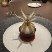 disneytreasurepalodinner