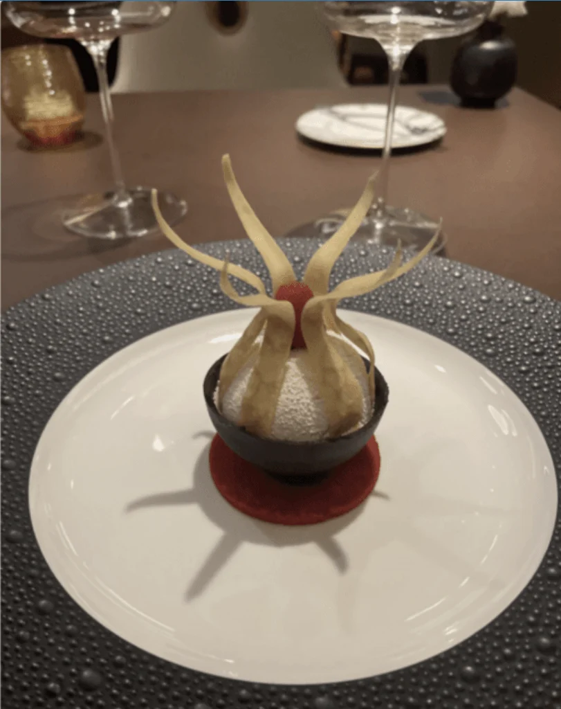 disneytreasurepalotiramisu