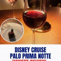 disneypaloprimanottereview