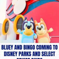 disneycruiseblueyandbingo
