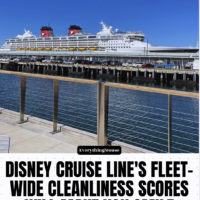 disneycruiselineccclean