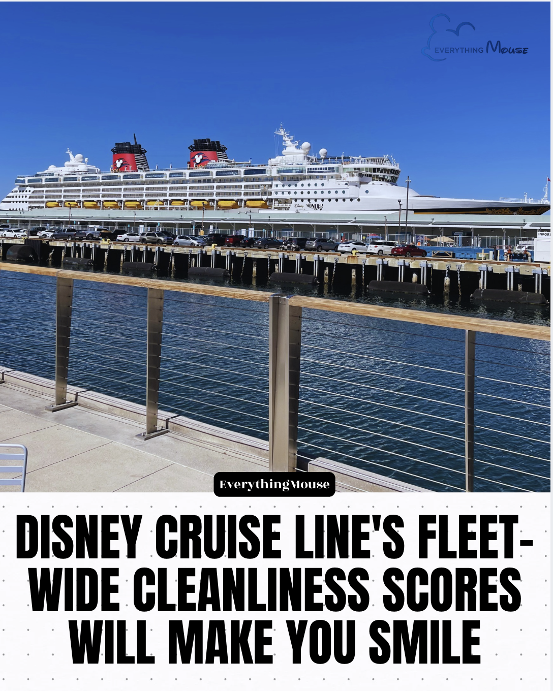 disneycruiselineccclean