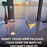 disneycruisewinepackage