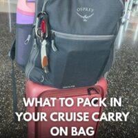 cruisecarryonpacking